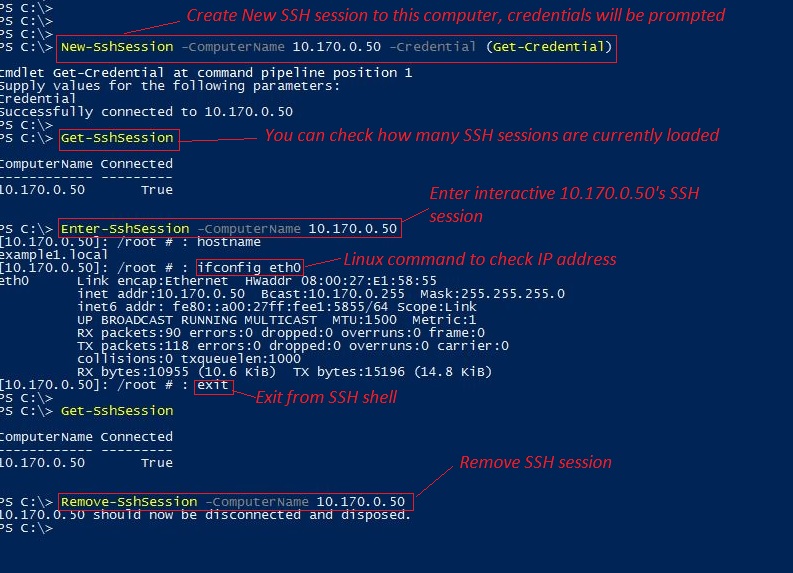 Interactive SSH session in Powershell